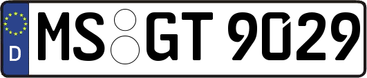 MS-GT9029