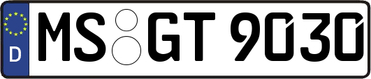 MS-GT9030