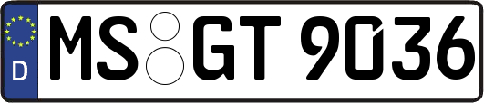 MS-GT9036