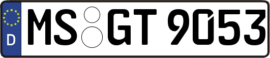 MS-GT9053