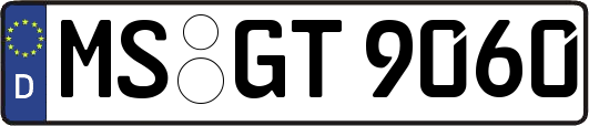 MS-GT9060