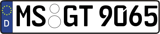 MS-GT9065