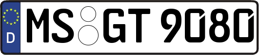 MS-GT9080