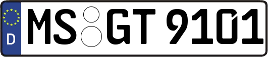 MS-GT9101