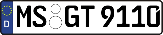 MS-GT9110