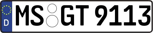 MS-GT9113