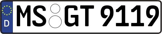 MS-GT9119