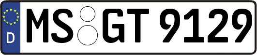 MS-GT9129
