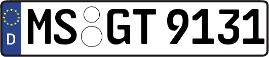 MS-GT9131