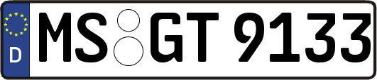 MS-GT9133