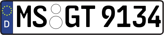 MS-GT9134