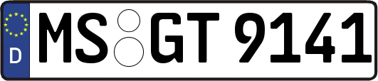 MS-GT9141