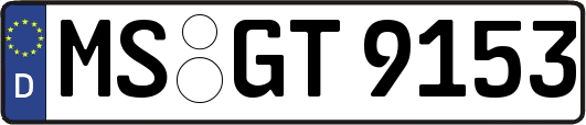 MS-GT9153