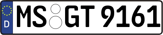 MS-GT9161