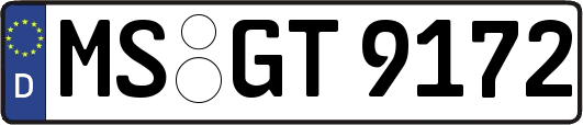 MS-GT9172
