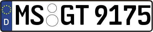 MS-GT9175