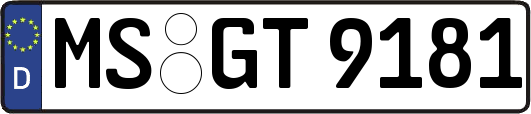 MS-GT9181