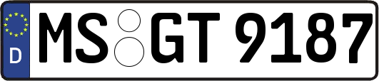 MS-GT9187