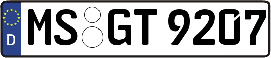 MS-GT9207