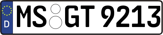 MS-GT9213
