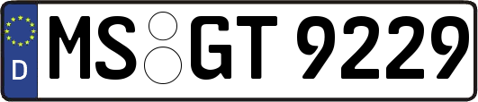 MS-GT9229