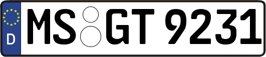 MS-GT9231