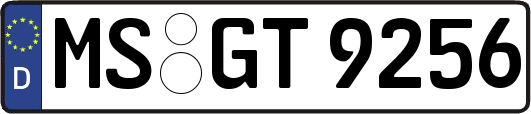 MS-GT9256