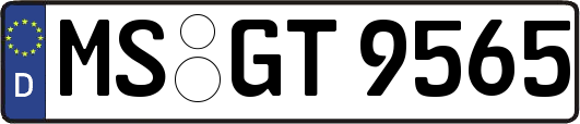 MS-GT9565