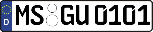 MS-GU0101