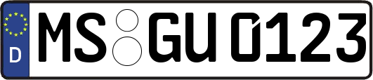 MS-GU0123