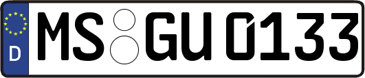 MS-GU0133
