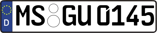 MS-GU0145