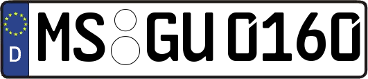 MS-GU0160