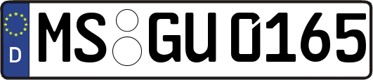 MS-GU0165