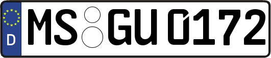 MS-GU0172