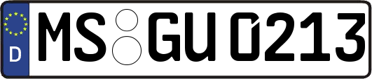 MS-GU0213