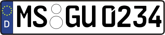 MS-GU0234