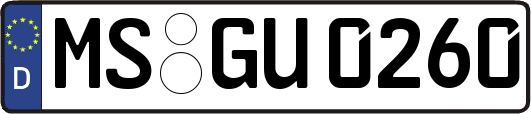 MS-GU0260