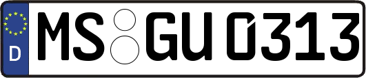 MS-GU0313