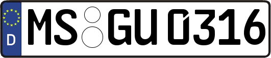 MS-GU0316