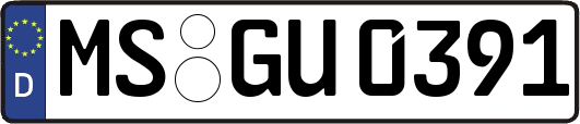 MS-GU0391