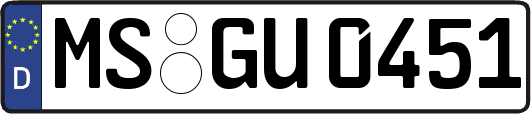 MS-GU0451