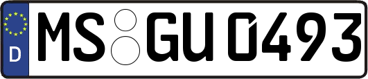 MS-GU0493