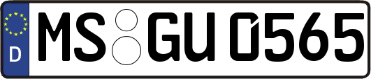 MS-GU0565