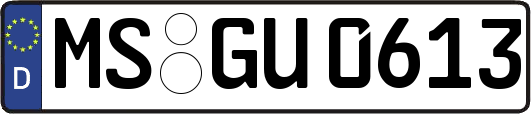 MS-GU0613