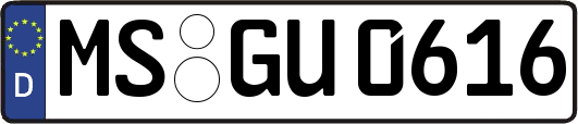 MS-GU0616