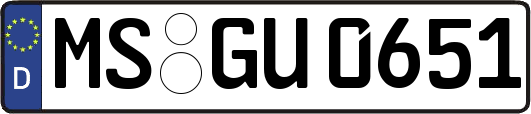 MS-GU0651