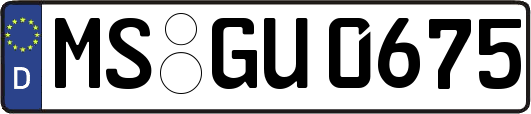 MS-GU0675