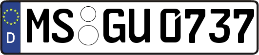 MS-GU0737