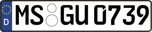 MS-GU0739